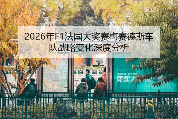 2026年F1法国大奖赛梅赛德斯车队战略变化深度分析